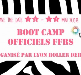 bootcamp Lyon roller derby officiels