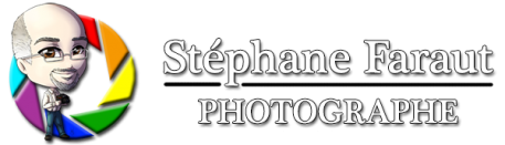 Stephane faraut photographe roller derby